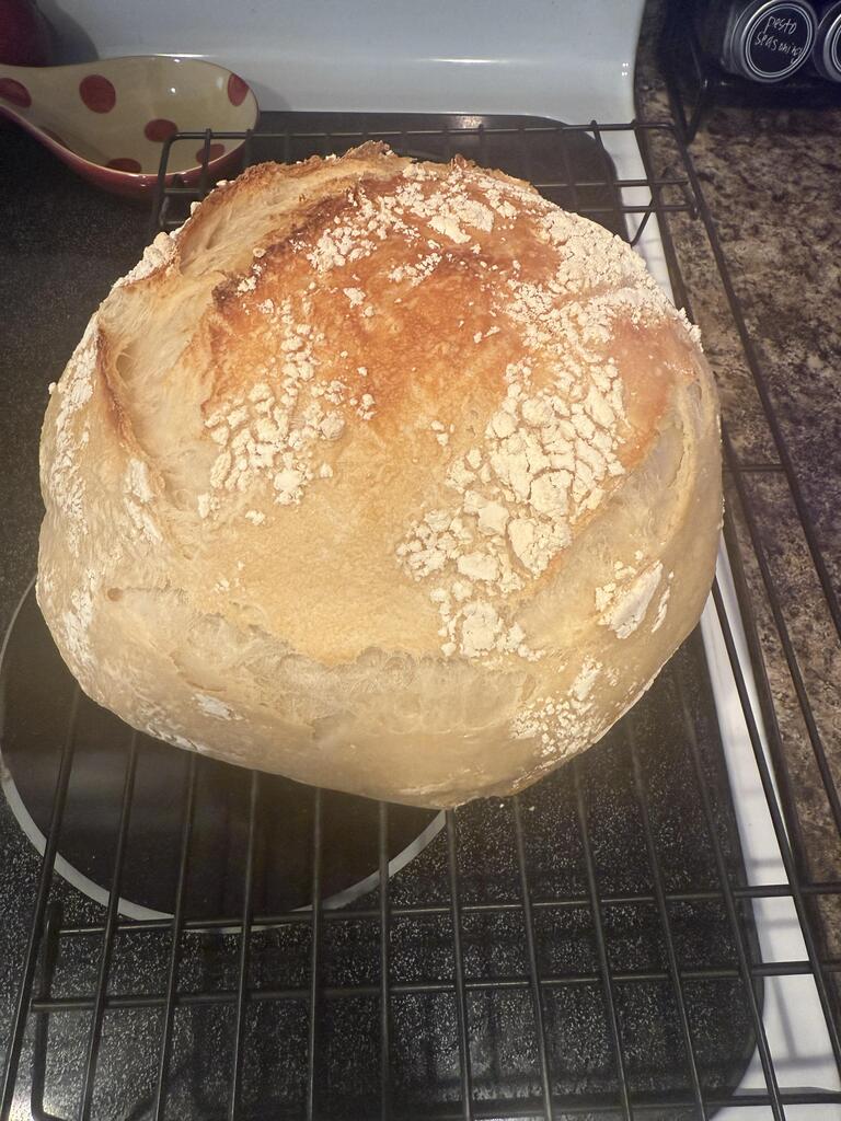 A customer's first homemade sourdough loaf