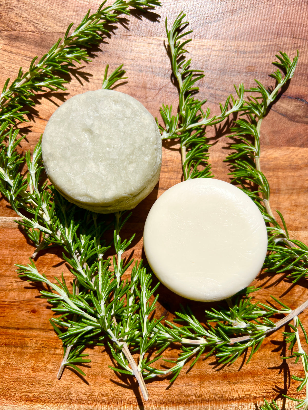 Handmade shampoo bars resting on fresh rosemary